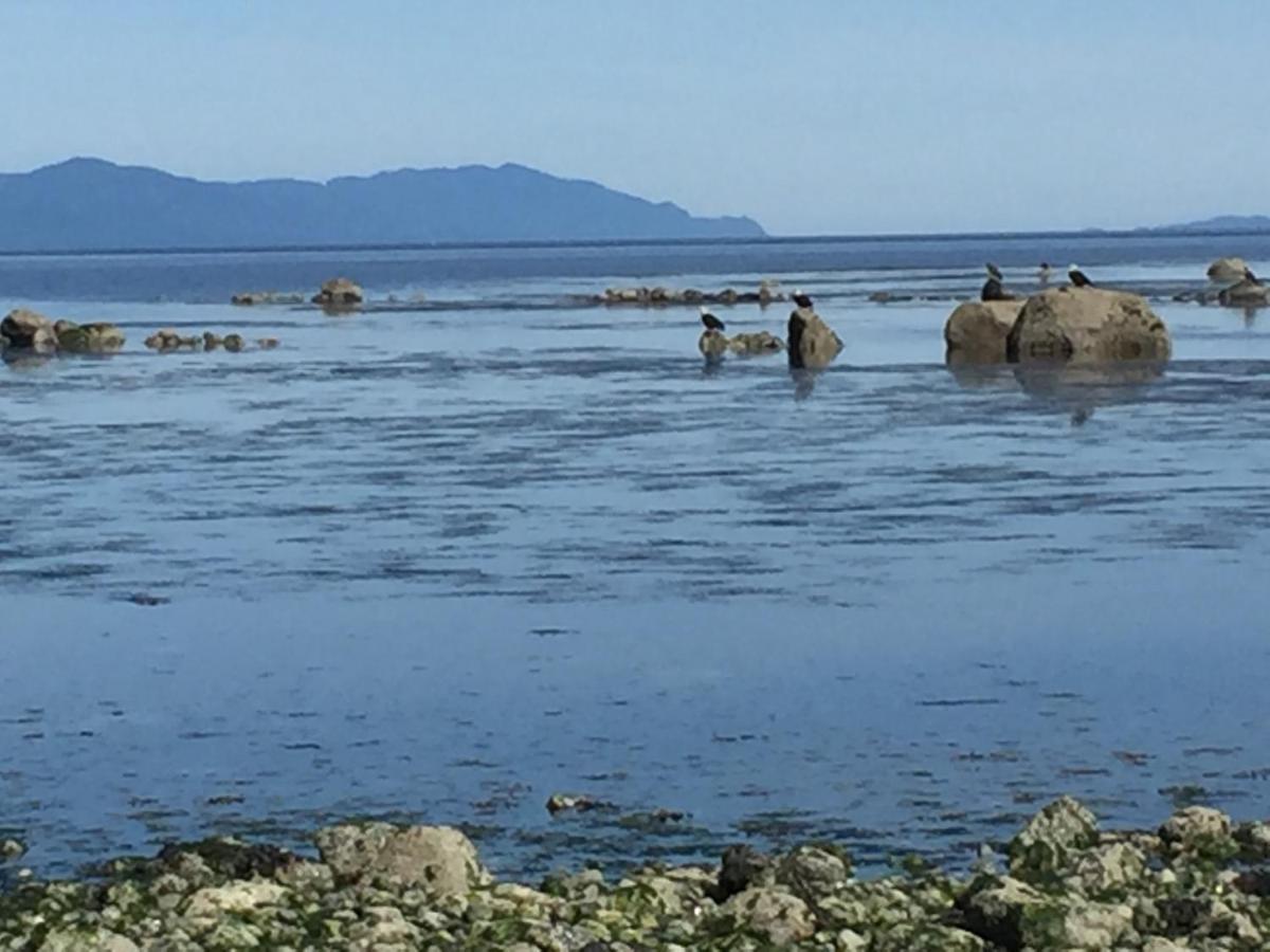 Estuary House Reflexology B&B Courtenay Luaran gambar