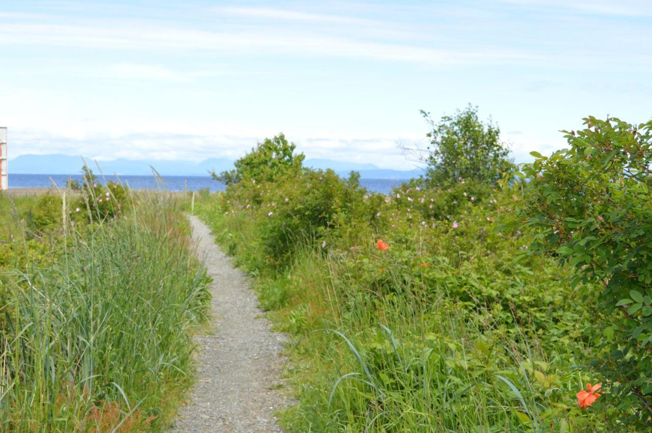 Estuary House Reflexology B&B Courtenay Luaran gambar