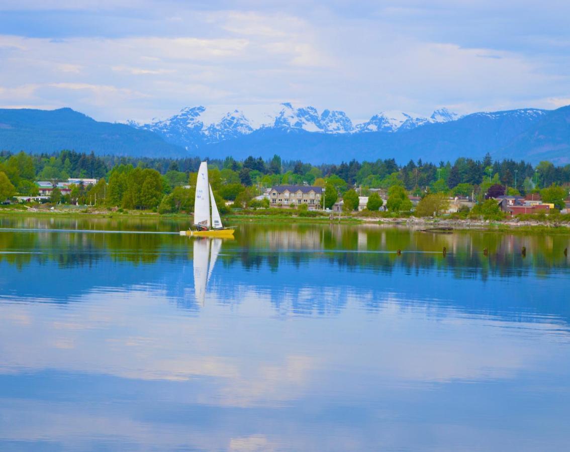 Estuary House Reflexology B&B Courtenay Luaran gambar