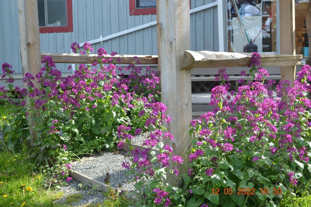 Estuary House Reflexology B&B Courtenay Luaran gambar