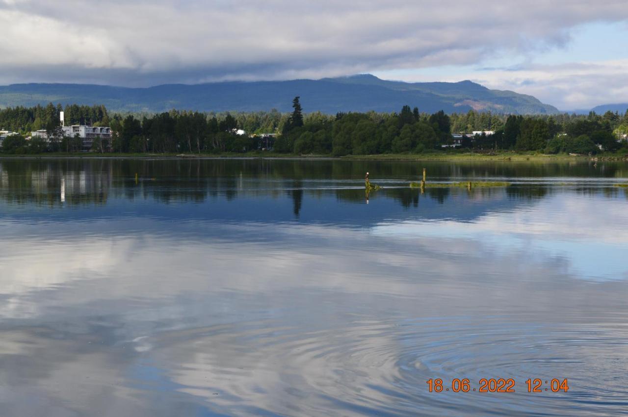 Estuary House Reflexology B&B Courtenay Luaran gambar
