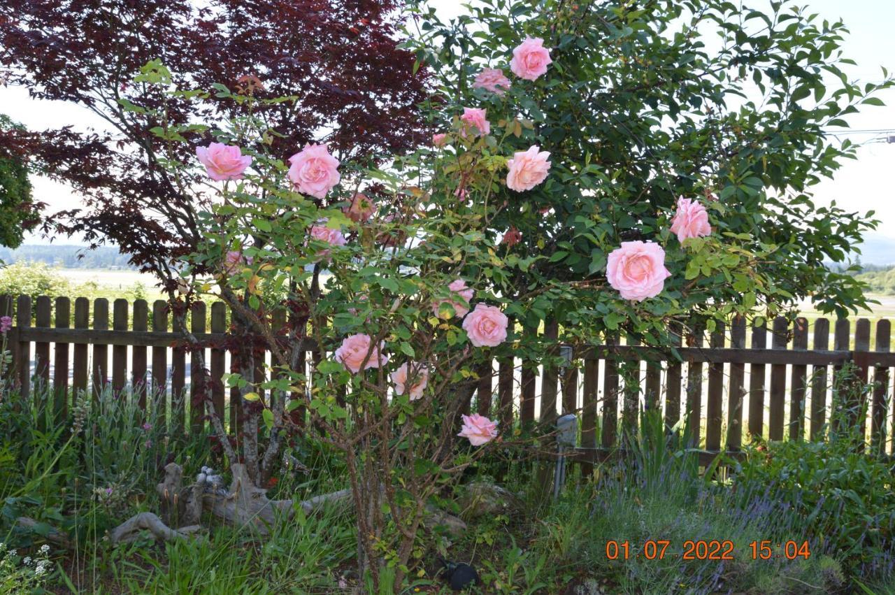 Estuary House Reflexology B&B Courtenay Luaran gambar