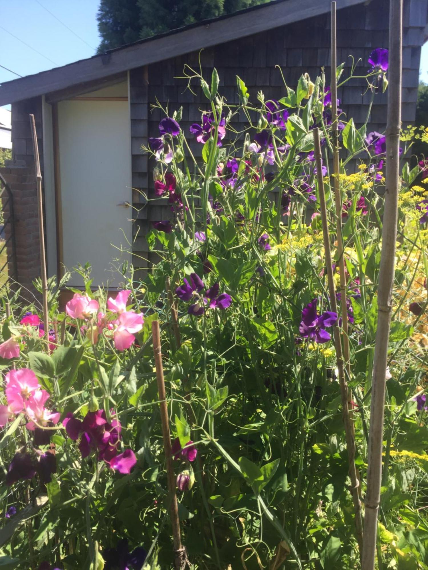 Estuary House Reflexology B&B Courtenay Luaran gambar