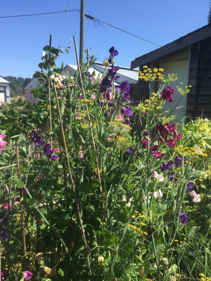 Estuary House Reflexology B&B Courtenay Luaran gambar
